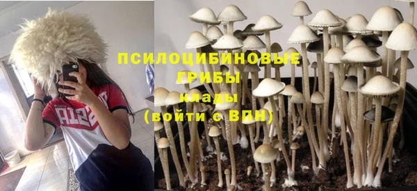 2c-b Нефтекумск