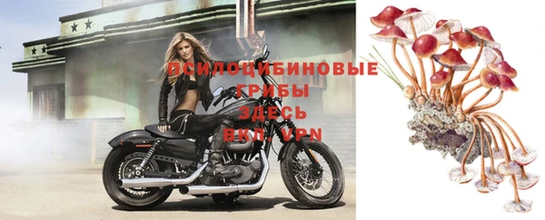 мяу мяу мука Новокубанск